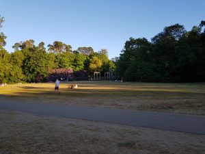 Savill Garden to Virginia Water circular
