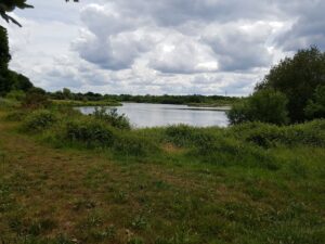 Recommended Walk - Moor Green Lakes to Wick Hill - 00
