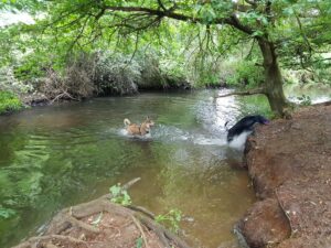 Recommended Walk - Moor Green Lakes to Wick Hill - 01