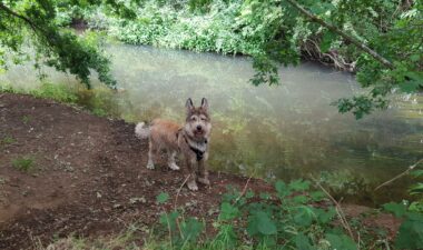 Recommended Walk - Moor Green Lakes to Wick Hill - 02