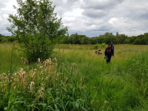 Moor Green Lakes to Finchampstead Ridges