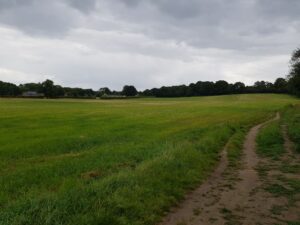 Recommended Walk - Moor Green Lakes to Wick Hill - 04