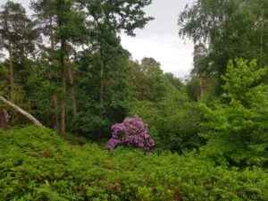 Recommended Walk - Moor Green Lakes to Wick Hill - 05