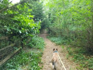 Recommended Walk - Thatcham and Crookham Common Circular 10