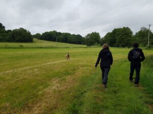 Recommended Walk - Thatcham and Crookham Common Circular 2