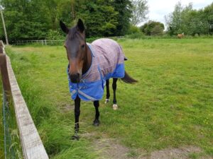 Recommended Walk - Thatcham and Crookham Common Circular 5