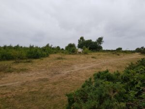 Recommended Walk - Thatcham and Crookham Common Circular 6