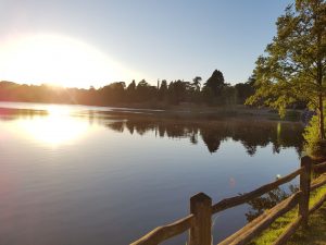 Savill Garden to Virginia Water circular