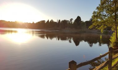 Savill Garden to Virginia Water circular