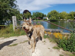 Thames Walk - Cookham to Cock Marsh Circular