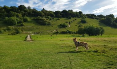 Thames Walk - Cookham to Cock Marsh Circular
