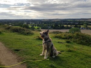 Thames Walk - Cookham to Cock Marsh Circular