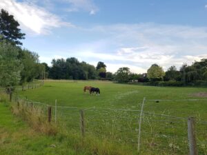 Thames Walk - Cookham to Cock Marsh Circular