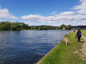 Thames Walk - Temple Island Meadows to Aston Circular