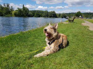Thames Walk - Temple Island Meadows to Aston Circular