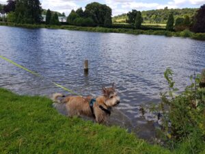 Thames Walk - Temple Island Meadows to Aston Circular