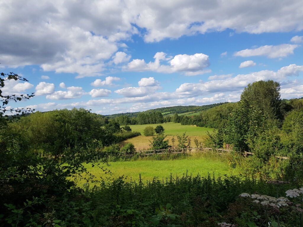 Walk Thames Walk Temple Island Meadows to Aston
