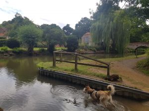 Dogmersfield and Basingstoke Canal Circular