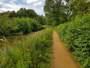 Dogmersfield and Basingstoke Canal Circular