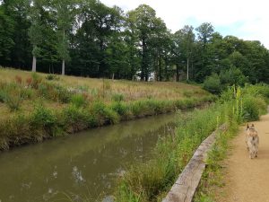 Recommended Walk – Dogmersfield and Basingstoke Canal Circular Recommended Walk – Dogmersfield and Basingstoke Canal Circular