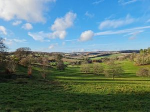 Stonor Park Circular Walk