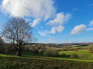 Stonor Park Circular Walk