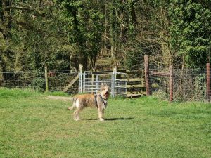 Knowl Hill Circular 02