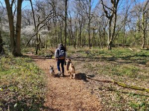 Knowl Hill Circular 03