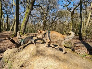 Knowl Hill Circular 04