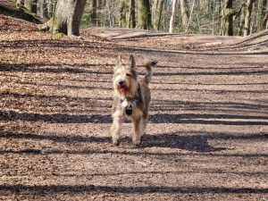 Knowl Hill Circular 06