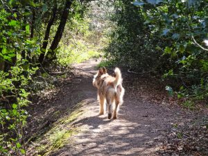 Knowl Hill Circular 08