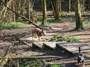 Knowl Hill Circular 09